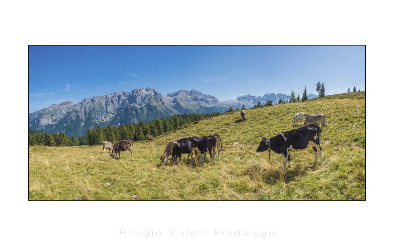 Rifugio Viviani Pradalago Madonna Exteriér fotografie